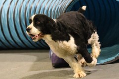074-SAAC-AKC-24Aug19-ExMstr-JWW