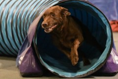 075-SAAC-AKC-24Aug19-ExMstr-JWW
