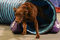 076-SAAC-AKC-24Aug19-ExMstr-JWW