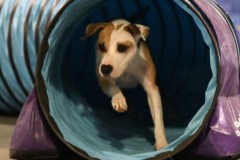 145-SAAC-AKC-24Aug19-ExMstr-JWW