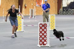 03-SAAC-AKC-24Aug19-Open-Novice-JWW