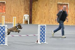 05-SAAC-AKC-24Aug19-Open-Novice-JWW