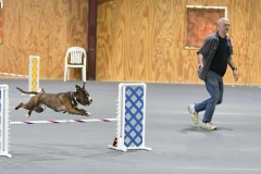 06-SAAC-AKC-24Aug19-Open-Novice-JWW