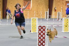 07-SAAC-AKC-24Aug19-Open-Novice-JWW
