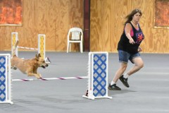 08-SAAC-AKC-24Aug19-Open-Novice-JWW