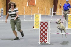 09-SAAC-AKC-24Aug19-Open-Novice-JWW