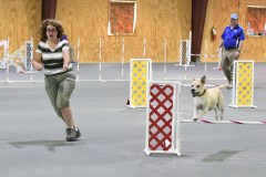 10-SAAC-AKC-24Aug19-Open-Novice-JWW