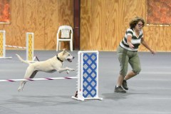 12-SAAC-AKC-24Aug19-Open-Novice-JWW