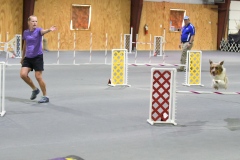 16-SAAC-AKC-24Aug19-Open-Novice-JWW