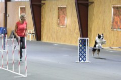 18-SAAC-AKC-24Aug19-Open-Novice-JWW