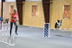 19-SAAC-AKC-24Aug19-Open-Novice-JWW