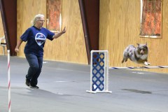 23-SAAC-AKC-24Aug19-Open-Novice-JWW