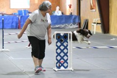 32-SAAC-AKC-24Aug19-Open-Novice-JWW