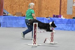 33-SAAC-AKC-24Aug19-Open-Novice-JWW