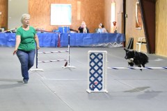 34-SAAC-AKC-24Aug19-Open-Novice-JWW