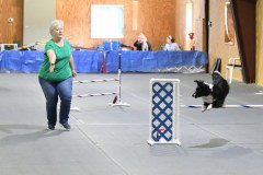 35-SAAC-AKC-24Aug19-Open-Novice-JWW