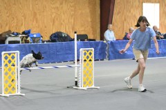 36-SAAC-AKC-24Aug19-Open-Novice-JWW