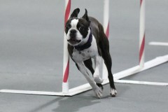 139-SAAC-AKC-25Aug19-ExMstr-JWW