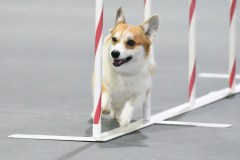 151-SAAC-AKC-25Aug19-ExMstr-JWW