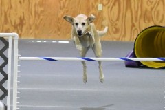 003-SAAC-AKC-25Aug19-Prem-JWW