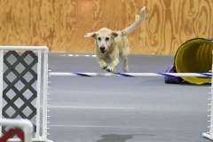 004-SAAC-AKC-25Aug19-Prem-JWW
