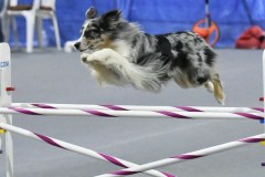 005-SAAC-AKC-25Aug19-Prem-JWW