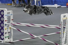 007-SAAC-AKC-25Aug19-Prem-JWW