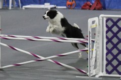 008-SAAC-AKC-25Aug19-Prem-JWW