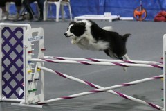 009-SAAC-AKC-25Aug19-Prem-JWW