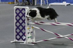 010-SAAC-AKC-25Aug19-Prem-JWW