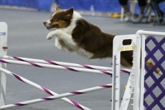 014-SAAC-AKC-25Aug19-Prem-JWW