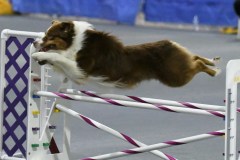 015-SAAC-AKC-25Aug19-Prem-JWW