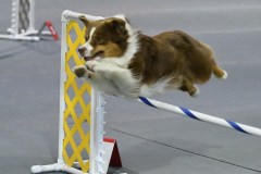 017-SAAC-AKC-25Aug19-Prem-JWW