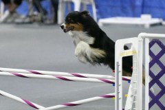 018-SAAC-AKC-25Aug19-Prem-JWW