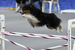019-SAAC-AKC-25Aug19-Prem-JWW
