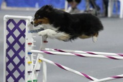 020-SAAC-AKC-25Aug19-Prem-JWW