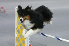 023-SAAC-AKC-25Aug19-Prem-JWW