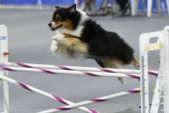 024-SAAC-AKC-25Aug19-Prem-JWW