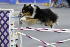 025-SAAC-AKC-25Aug19-Prem-JWW