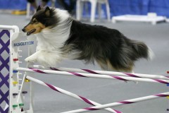 026-SAAC-AKC-25Aug19-Prem-JWW