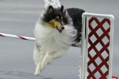 027-SAAC-AKC-25Aug19-Prem-JWW