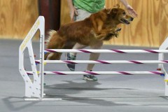031-SAAC-AKC-25Aug19-Prem-JWW