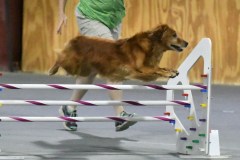 032-SAAC-AKC-25Aug19-Prem-JWW