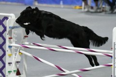 034-SAAC-AKC-25Aug19-Prem-JWW