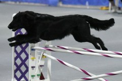 035-SAAC-AKC-25Aug19-Prem-JWW