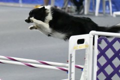037-SAAC-AKC-25Aug19-Prem-JWW