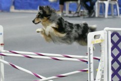 042-SAAC-AKC-25Aug19-Prem-JWW