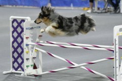 043-SAAC-AKC-25Aug19-Prem-JWW