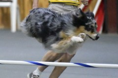 047-SAAC-AKC-25Aug19-Prem-JWW