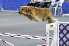 049-SAAC-AKC-25Aug19-Prem-JWW